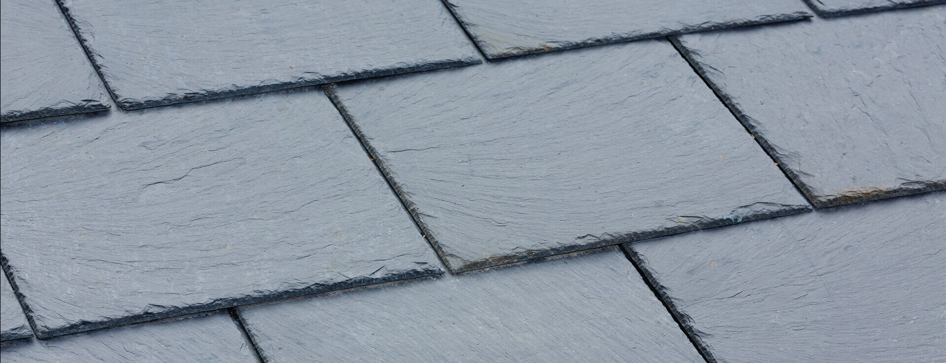 Roofing & Landscaping Company in South West London